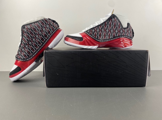 Titan x Air Jordan 23 318376-061