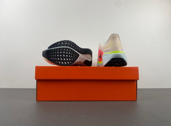 Nike Pegasus FD2723-100