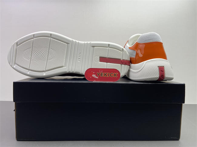 Pra*a america’s cup 6