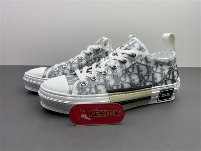 DR B23 OBLIQUE LOW TOP SNEAKER