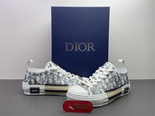 DR B23 OBLIQUE LOW TOP SNEAKER